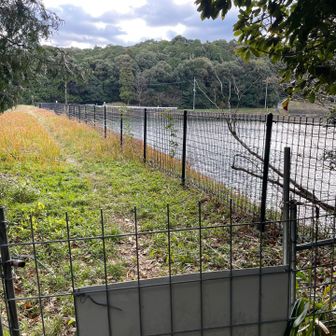 柵を開けて大池の土手に着地。
なかなか良い道でした。

さて、広島に帰るには、
どっちに向いて歩こうか。