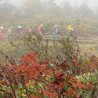 石森山頂で森吉山から下ってくる登山者達も見えます