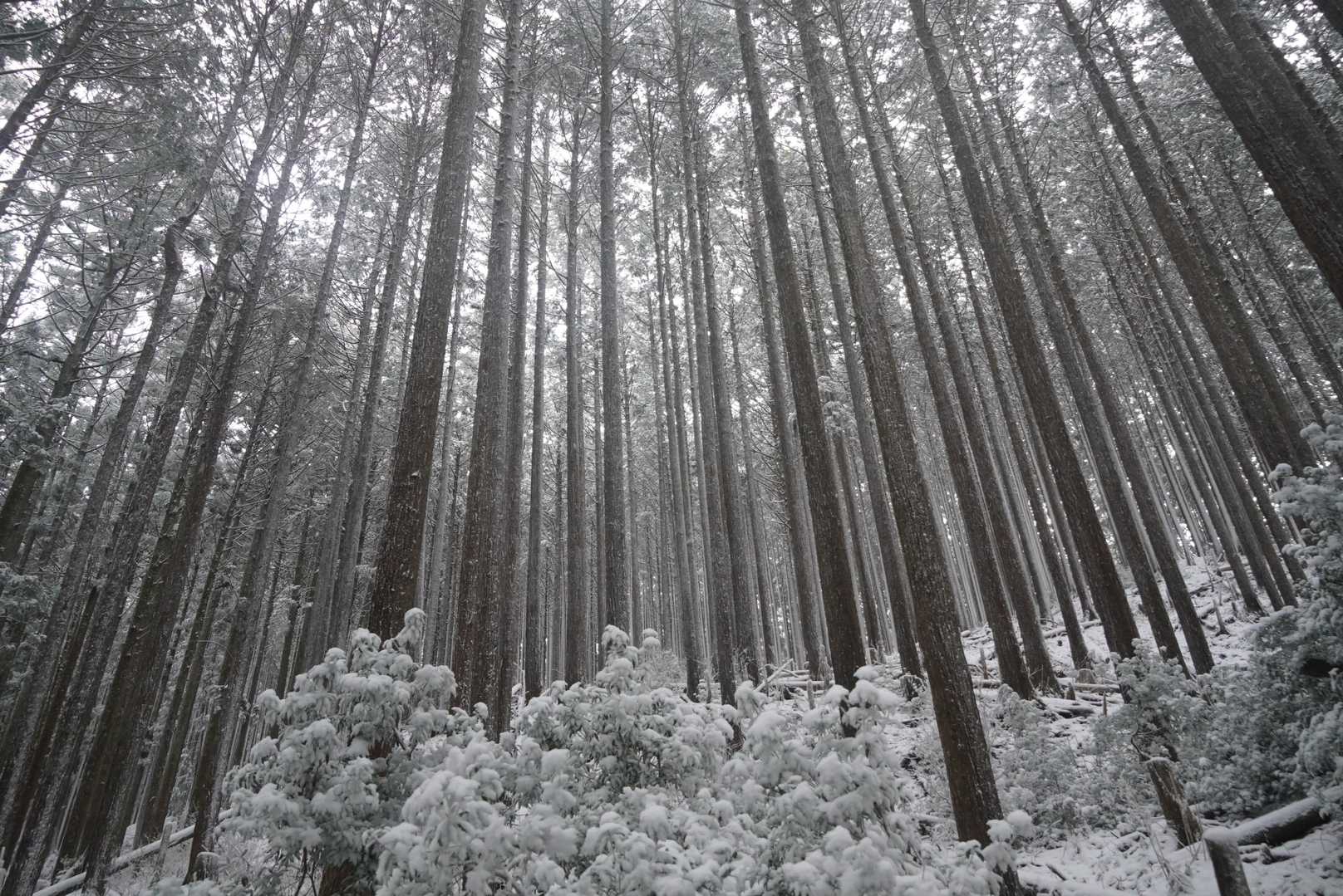 高見山登山口-高見山 縦走コースの写真