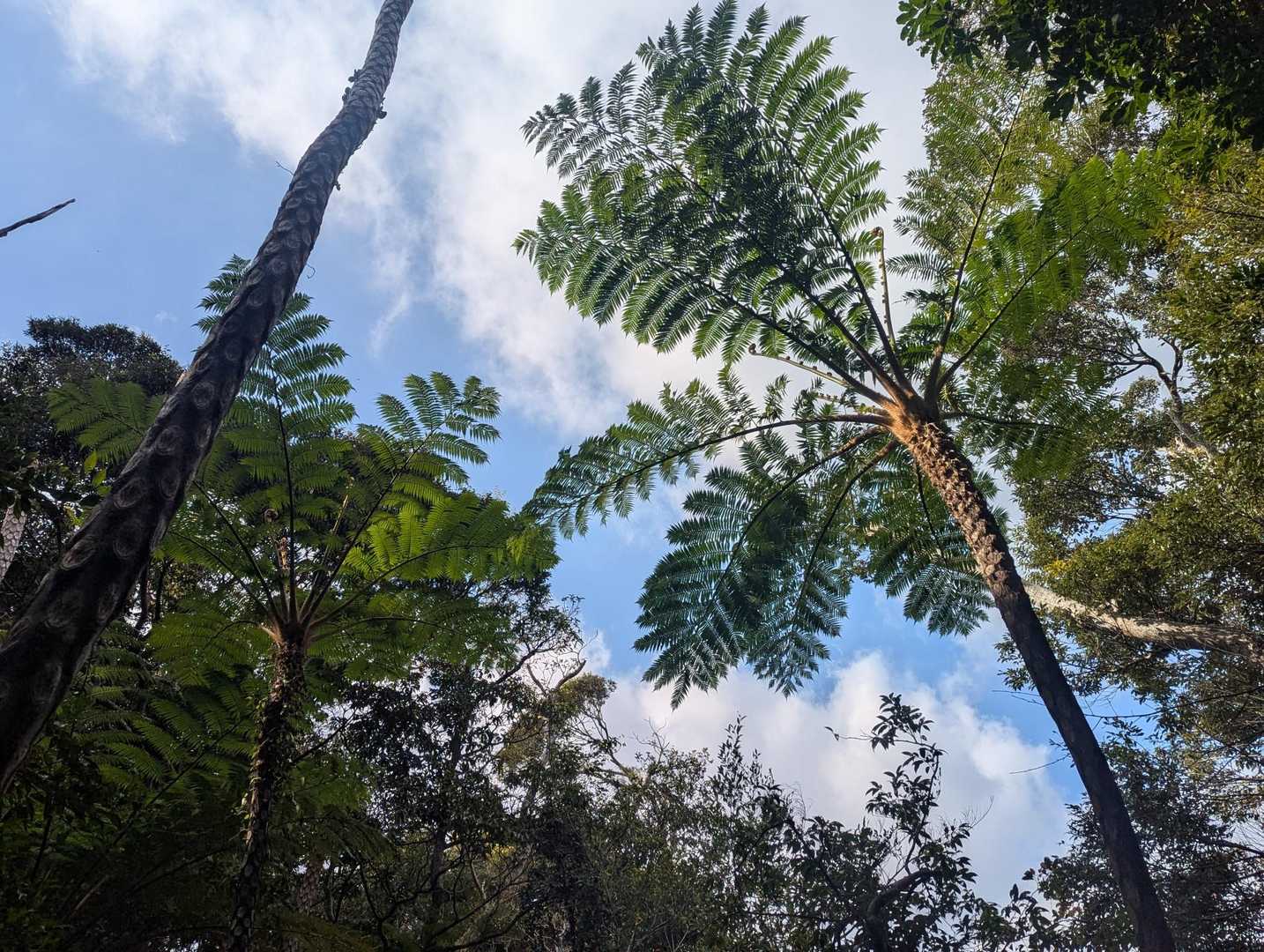 良いねー🌴👍️