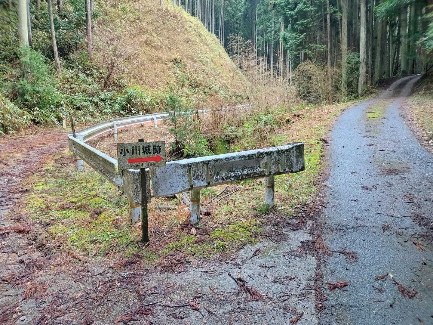 分岐