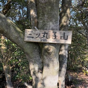 三ツ丸子山山頂到着。