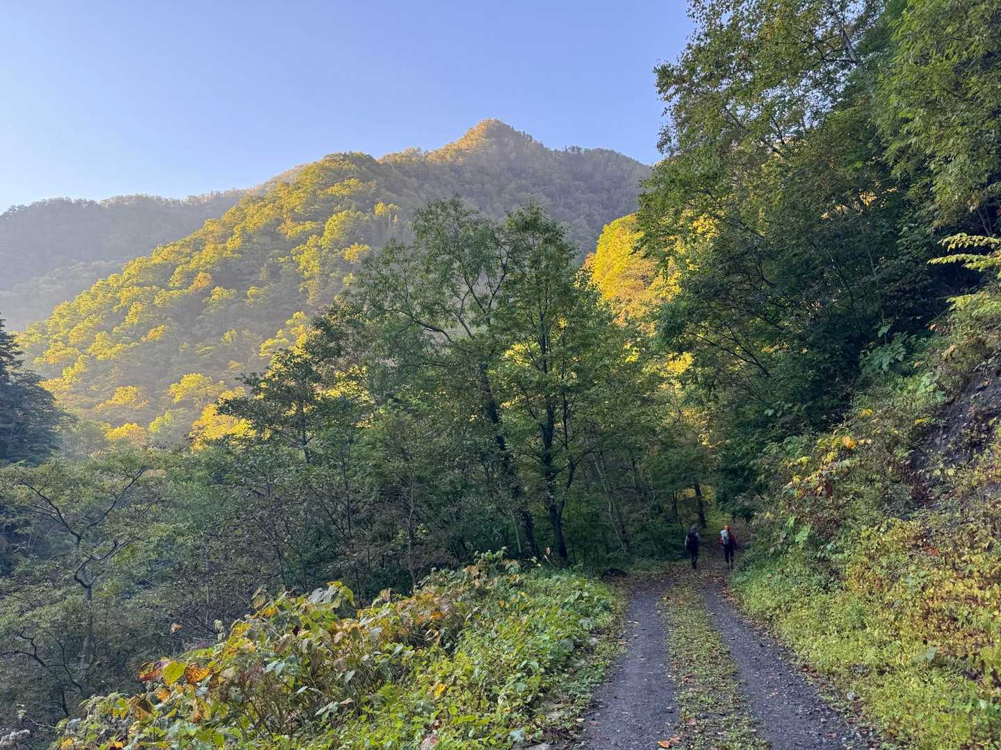 朝陽で山が輝き始めました。