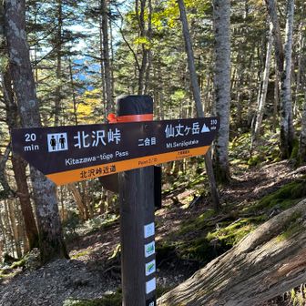 バス停からすぐ入るコースとの合流点