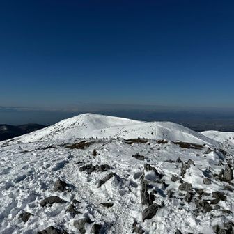 見渡す限り気持ちいい