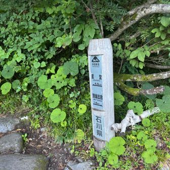 4.5.km遠いわ。汗ダラダラ滝汗。ゼーゼーハーハー言うてますよ。