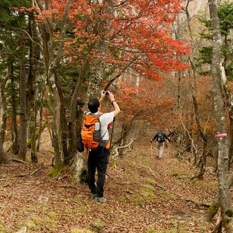 本日は3人御一行様の貸切🙌
大した距離じゃないのに眠くて疲れました🥱
下山はしりとりしながらテクテク🚶些細な事でも大笑い😆
さて、次はどこ行こ？
お終い🙇🏻‍♂️