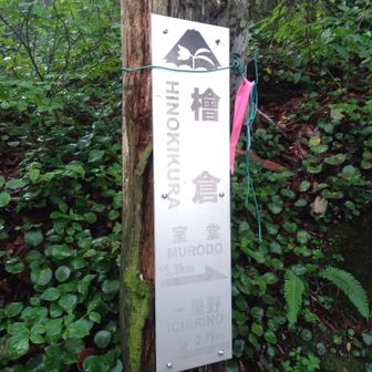 檜倉
ひのきくら（ひのきぐら）
「〇〇倉」という名前の山は初めて歩く