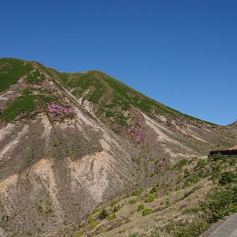 タイシパルテンツァ