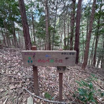 昭山
※YAMAP未登録

トシ山も作って(笑)