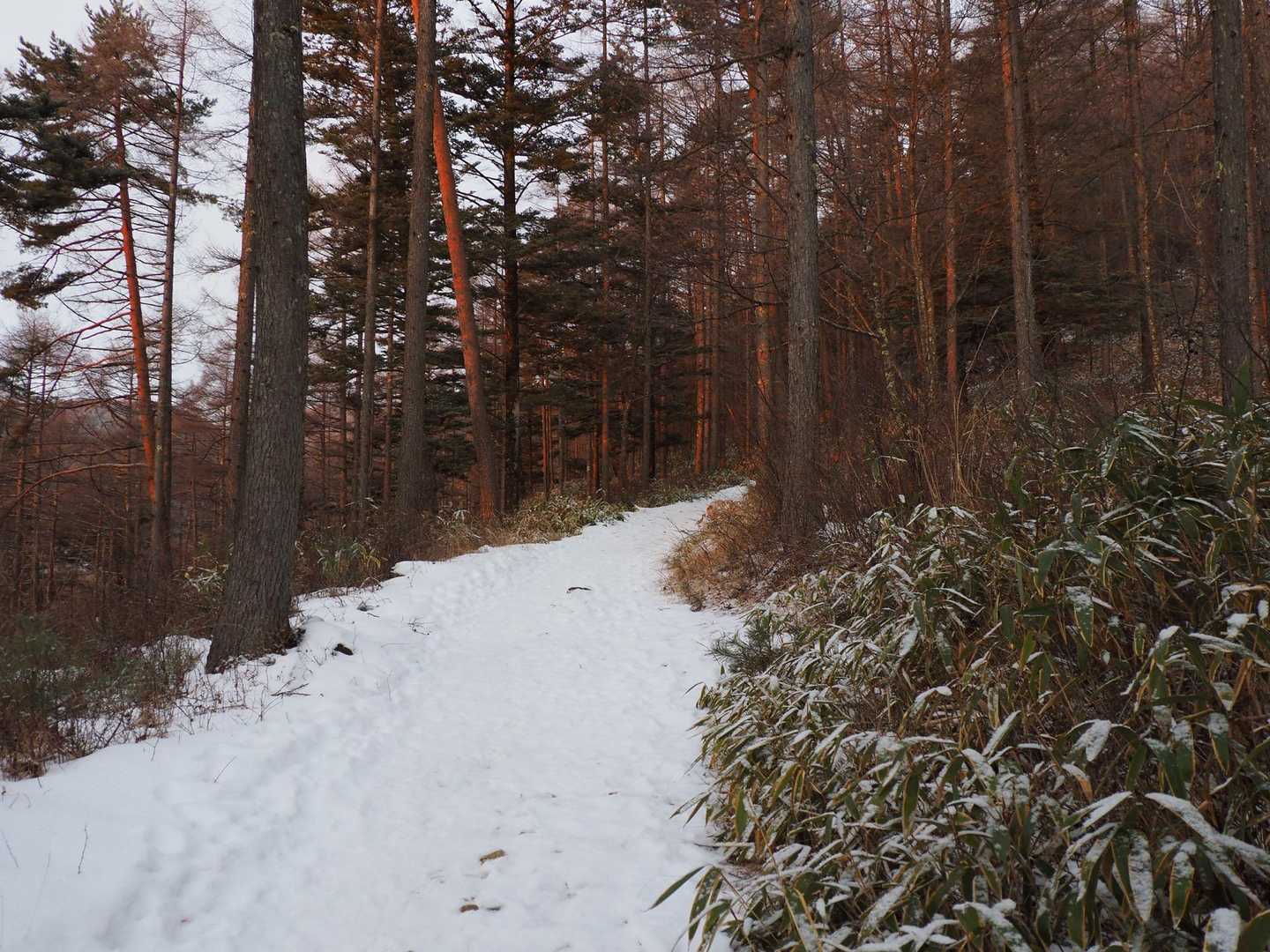 雪は薄付きですが
一級国道できてます