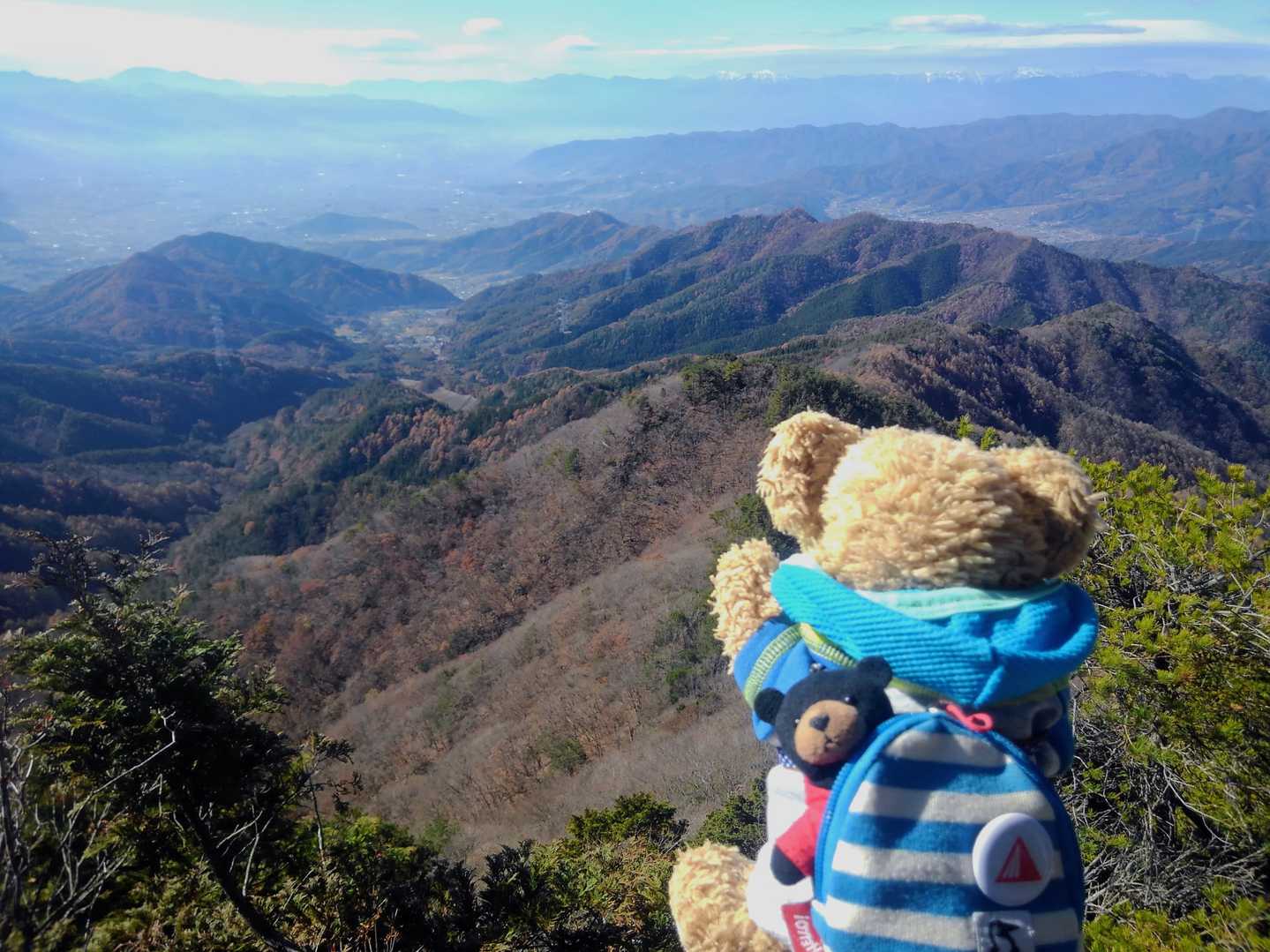 うわぁ 凄くいい眺めだね!! ✨🐻