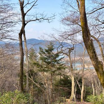 宮ヶ瀬湖が見えてきました🤩