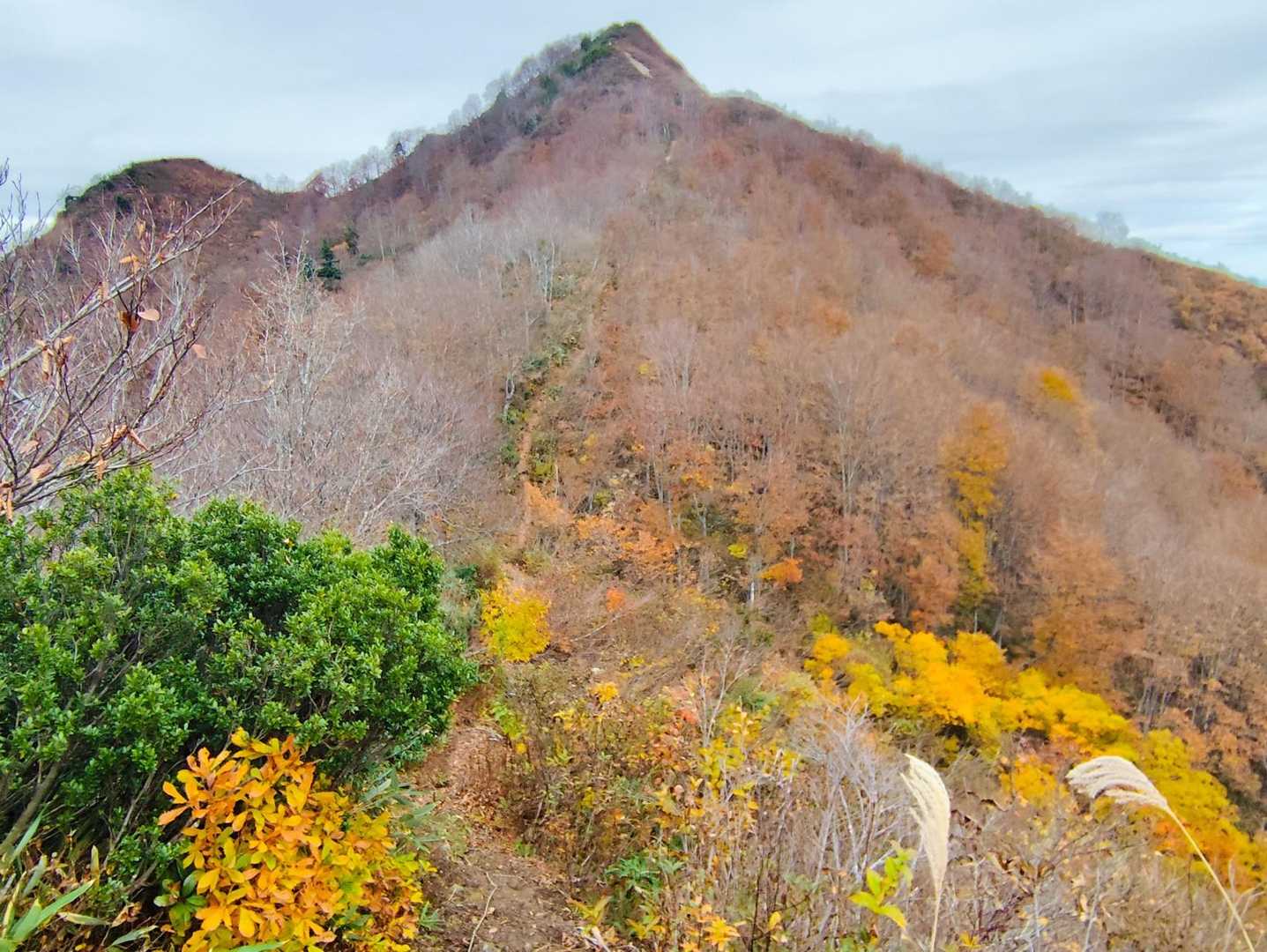 タイトル写真です😊山頂までのルートがわかりますね　結構急坂です🧗