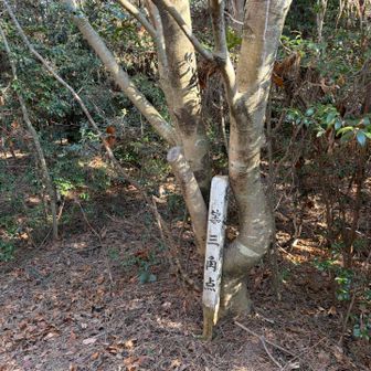 金剛童子山　看板なし…