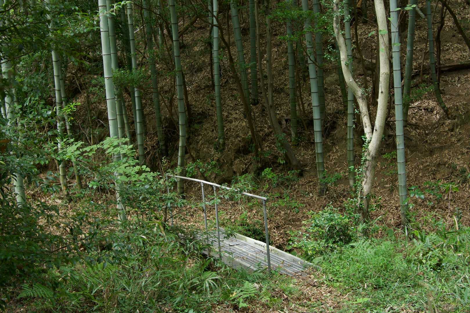 橋がある
ありがたいですね🙏