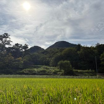 ここからの二上山も好きなんだよね〜⛰️