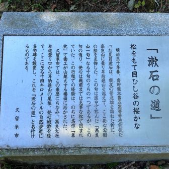 AIで文字起こし...
「漱石の道」
松をもて囲ひし谷の桜かな
明治三十年春、当時熊本第五高等学校教授だった夏目漱石は、親友の菅虎雄を訪ねた折に、高良山に登り耳納連山を越えて、ここ発心公園の桜を見物した。この句は途中で詠んだ「高良山一句」なる十句のうちの一つであるが、この句の通り、発心は戦前までは見事な松で囲まれていた。この行程での経験は、のちに名作「草枕」で画工が山越えする場面に活かされた。
久留米市では、この来歴にちなみ、高良大社参道登り口から耳納連山の尾根、発心城跡を経て、ここに至る十四キロメートルの自然歩道に各句碑を設置し、これを「漱石の道」と名付けているものである。

久留米市
