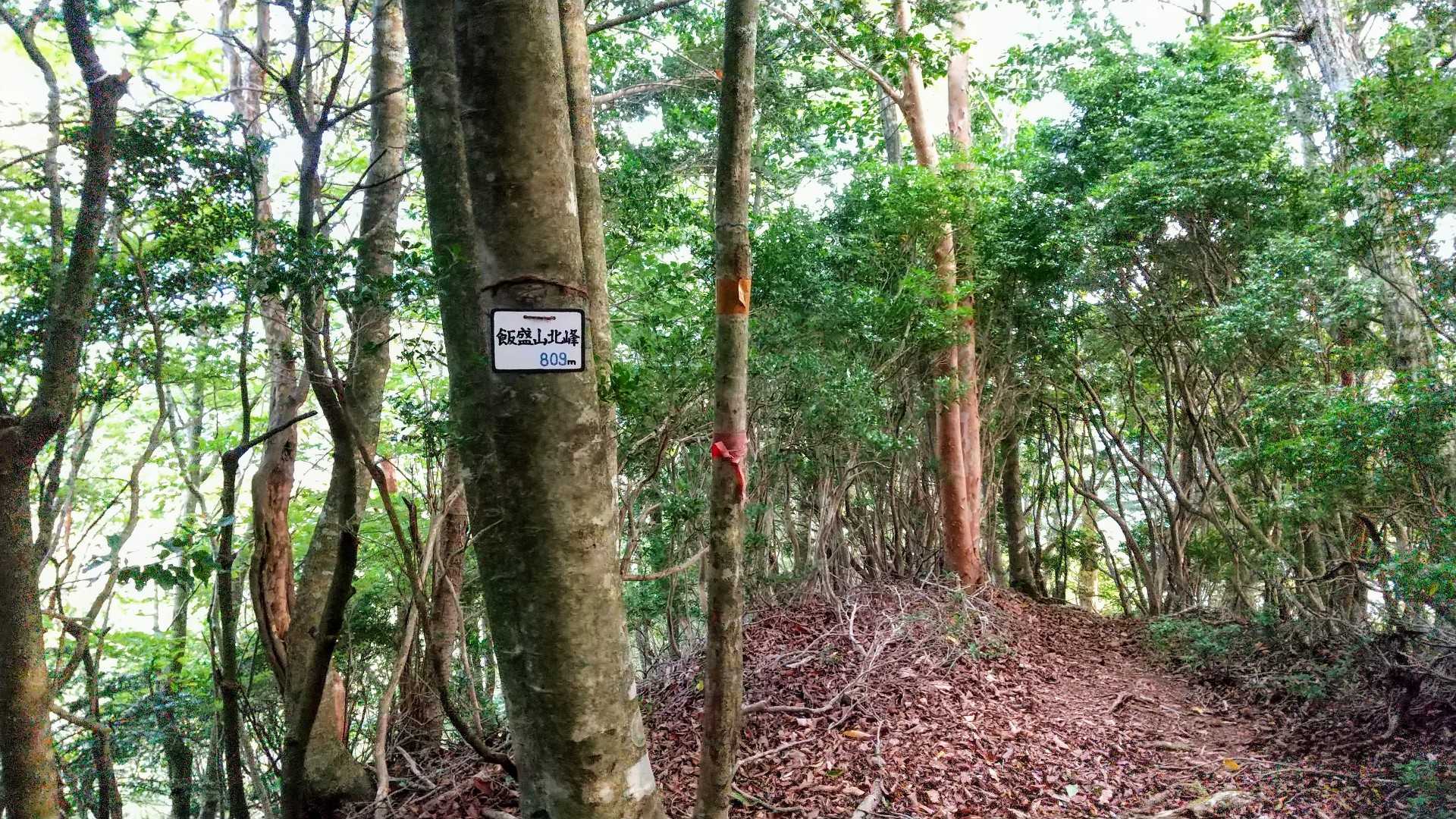 飯盛山北峰。地味なピークなやー😅
この手前にかなり危ない箇所有り😱
(フィールドメモ有り)