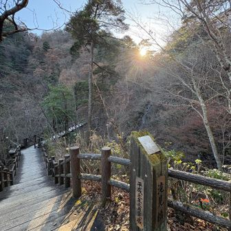 本当は帰りのバスの時間16:45に合わせて
ムシカリ　大沢　ハチノス...とグルッと回って
下山しようと思っていましたが友人が予想以上にバテバテだったのでコースを半分にして滝の方へ降りてきました。