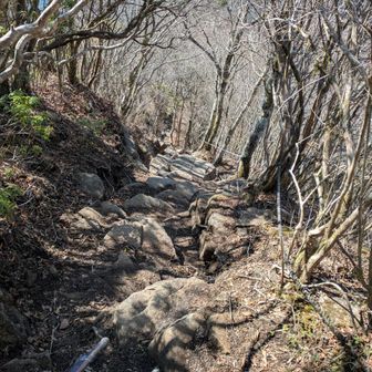 さよなら、倶留尊山👋ﾊﾞｲﾊﾞｲ
急坂を下ります😰