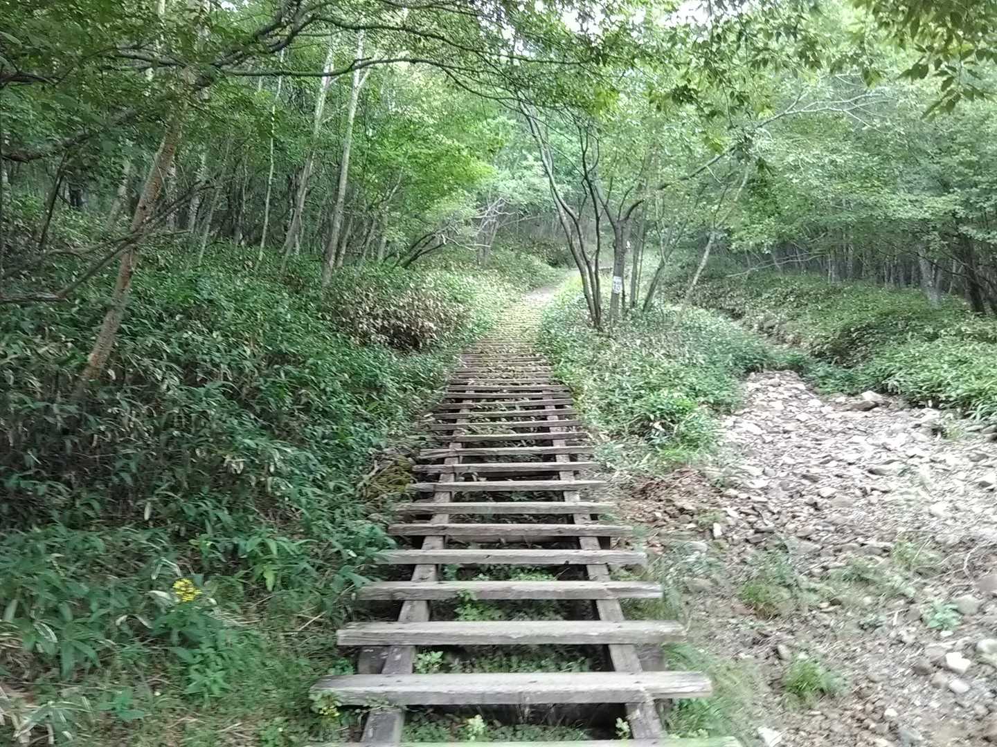 長七郎山-八丁峠-地蔵岳登山口-地蔵岳 周回コースの写真