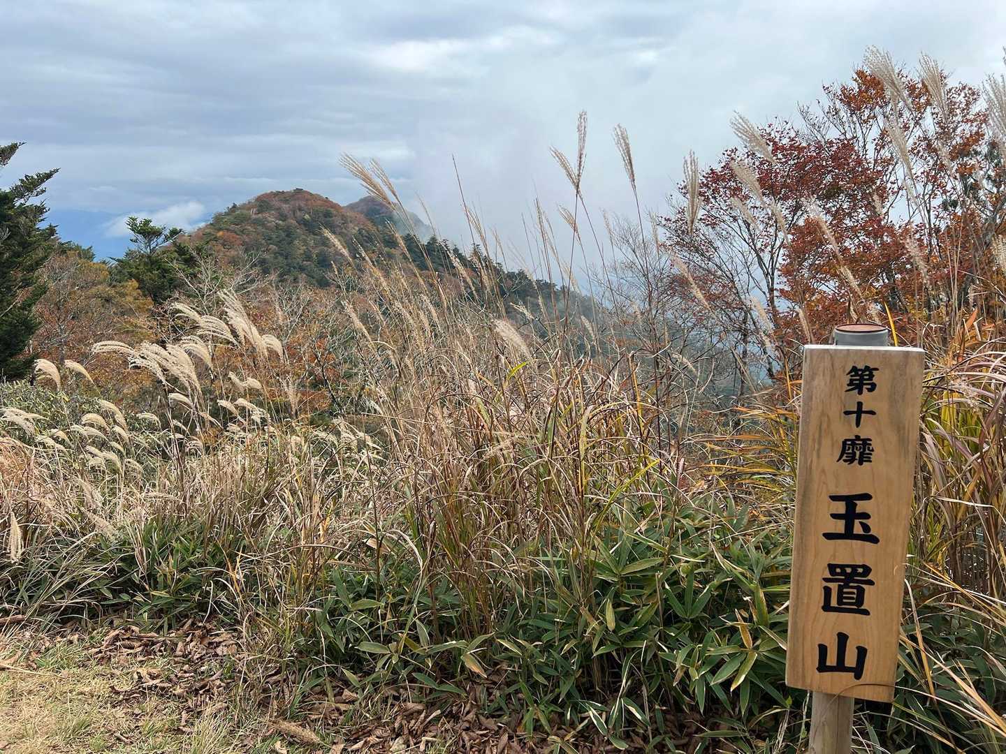 玉石社から少し上がると、
奥駈道第十番靡の玉置山です。
ススキの向こうに見える山々が
これから向かう宝冠の森。