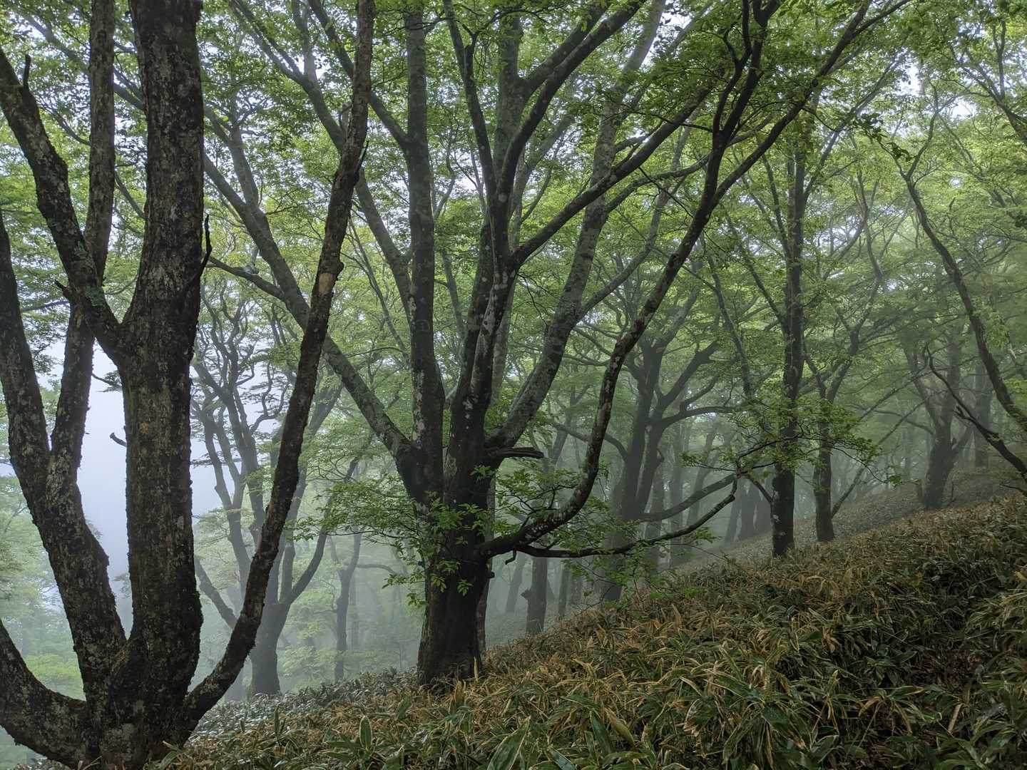 良い感じだな