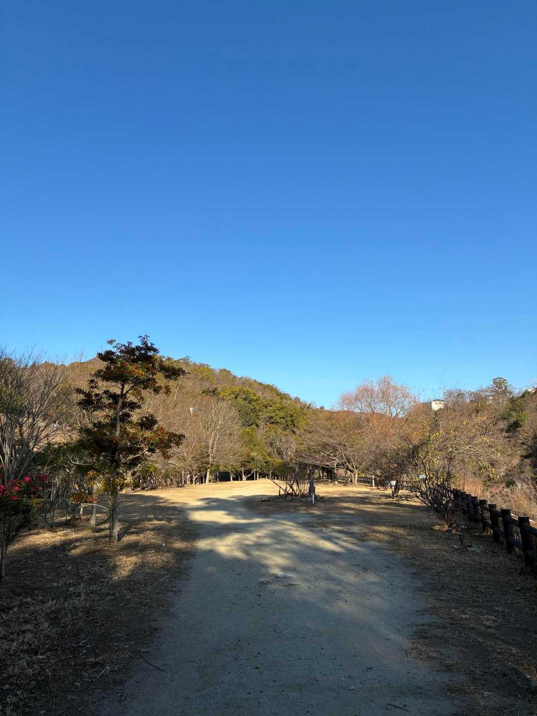 仁川駅-甲山-北山公園ハイキングコース入口-甲陽園駅 縦走コースの写真