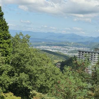 有馬富士が見えてるらしい！