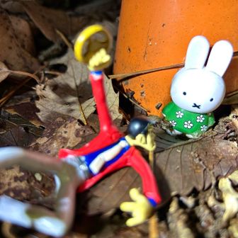 うさぎ山／^o^＼登山口‼️

👤🟰ミッフィー(・ⅹ・）元気そうだね🤗

🐇🟰🛟ハンドル盗んだの🤭❓
