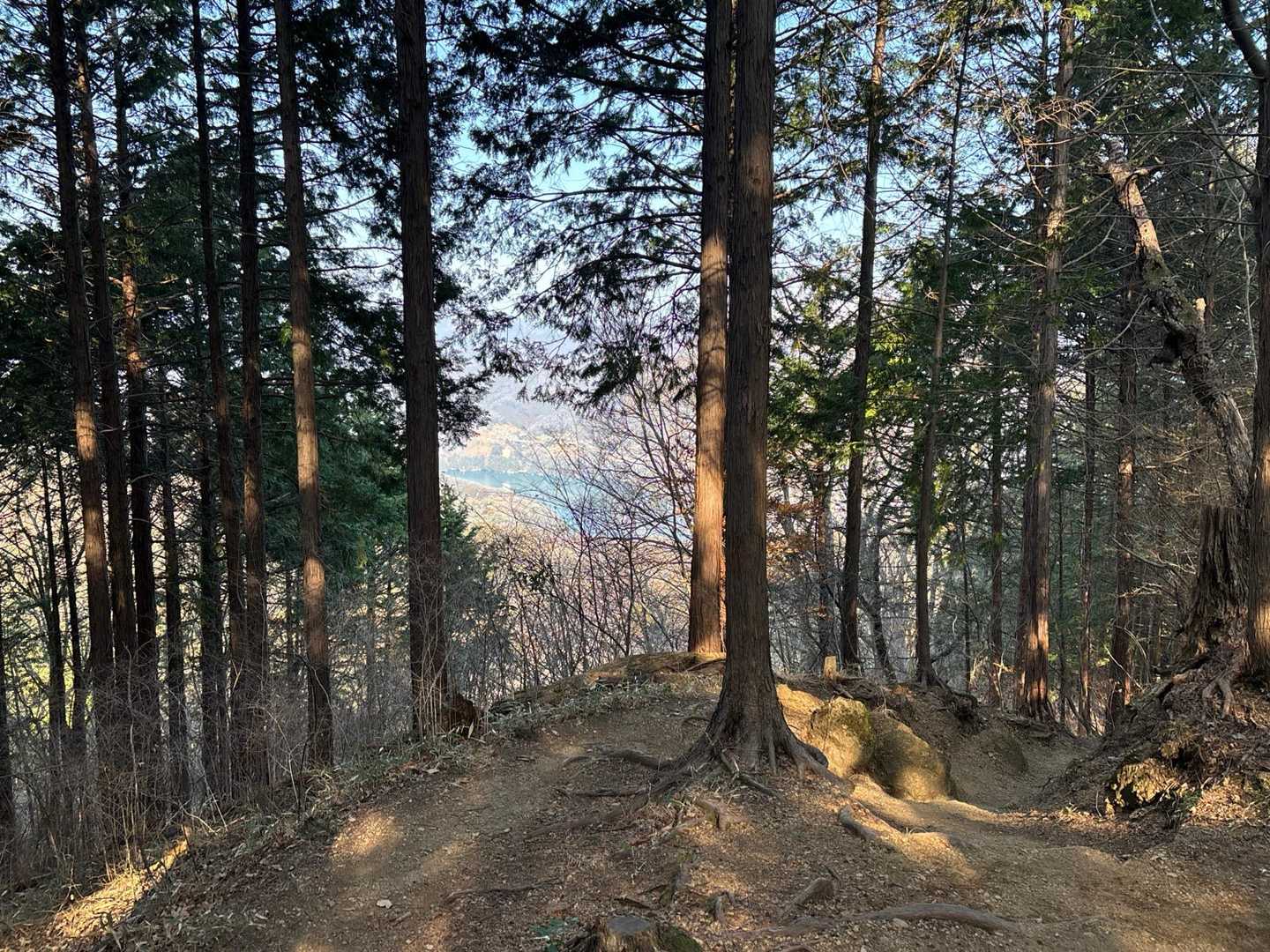 石老山入口バス停-石老山登山口-石老山-大明神-嵐山-産霊 縦走コースの写真