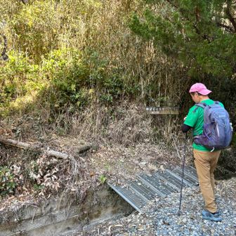 愛宕山の取り付き。草ボーボーで、「え…もしかして荒れ気味なん…？」って一緒ドキドキ。でもここだけでした。