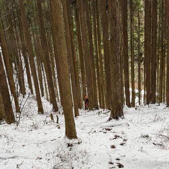 おじいさん🧡、あたしが登った時とは違うところを下って行く…
