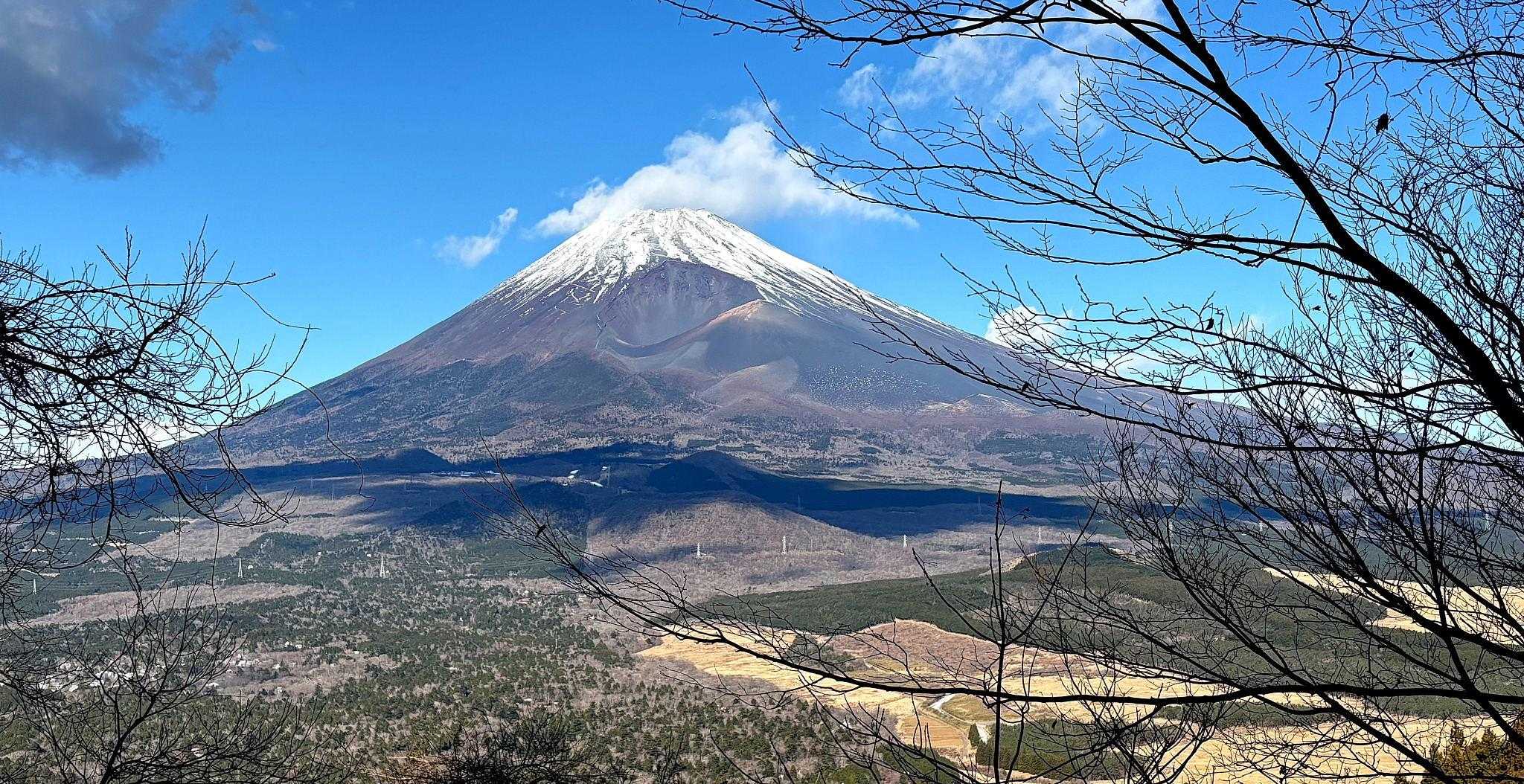 須山愛鷹登山口-富士見峠-黒岳-富士見台-越前岳 周回コースの写真