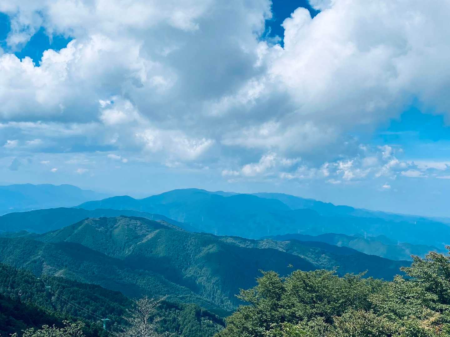 展望台から

