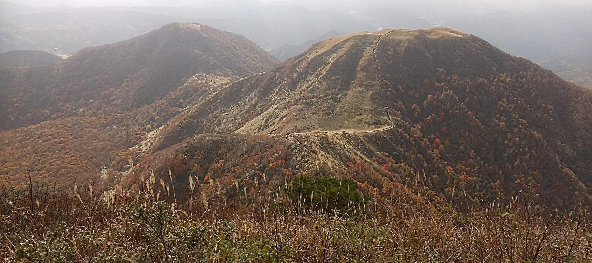 秋を思わせる風景‼️