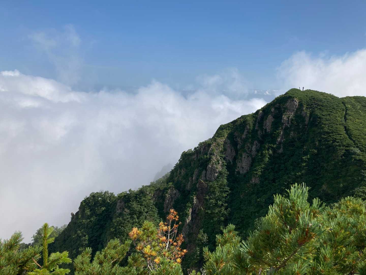 振り返ると、雲峰山山頂に先ほどの先行者さんが見えます。こっちから見ると迫力あります。