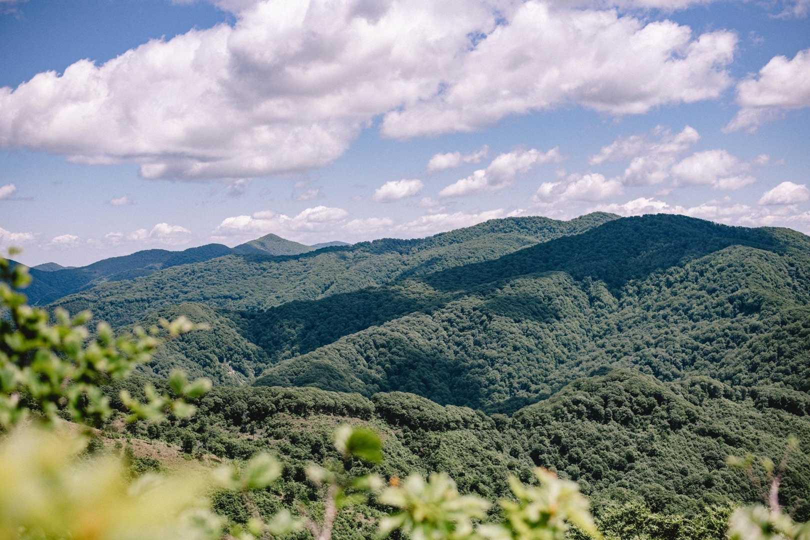 白神山地の全貌が見えてきました