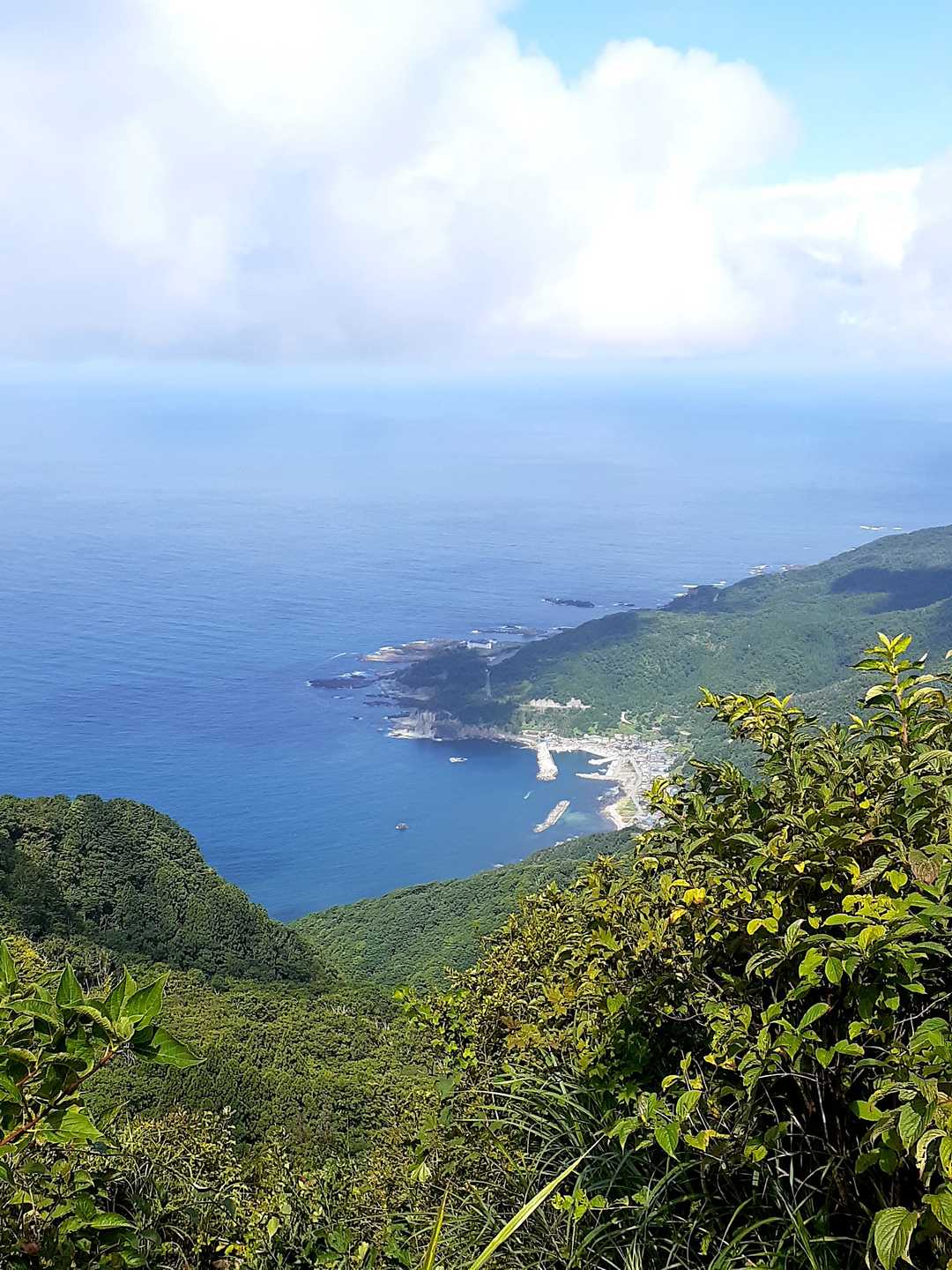 真山-本山 往復コースの写真