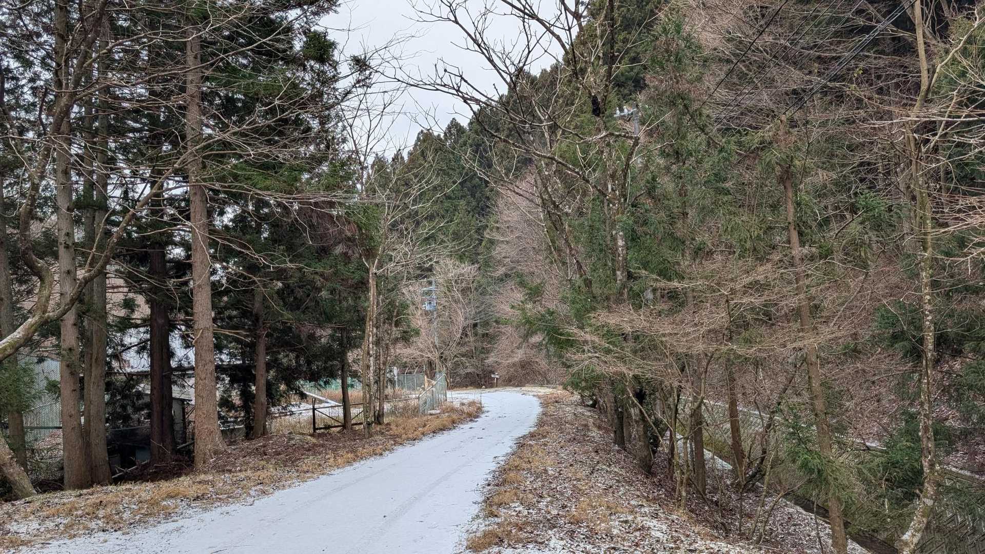 下山しました！キツツキの鳴き声とドラミングは度々聞こえていましたが近くで姿を見ることができて嬉しかったです！

なかなか気軽に来られないところですが眺望リベンジしに来たいです。