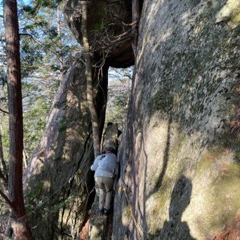 左は切れ落ちています😱