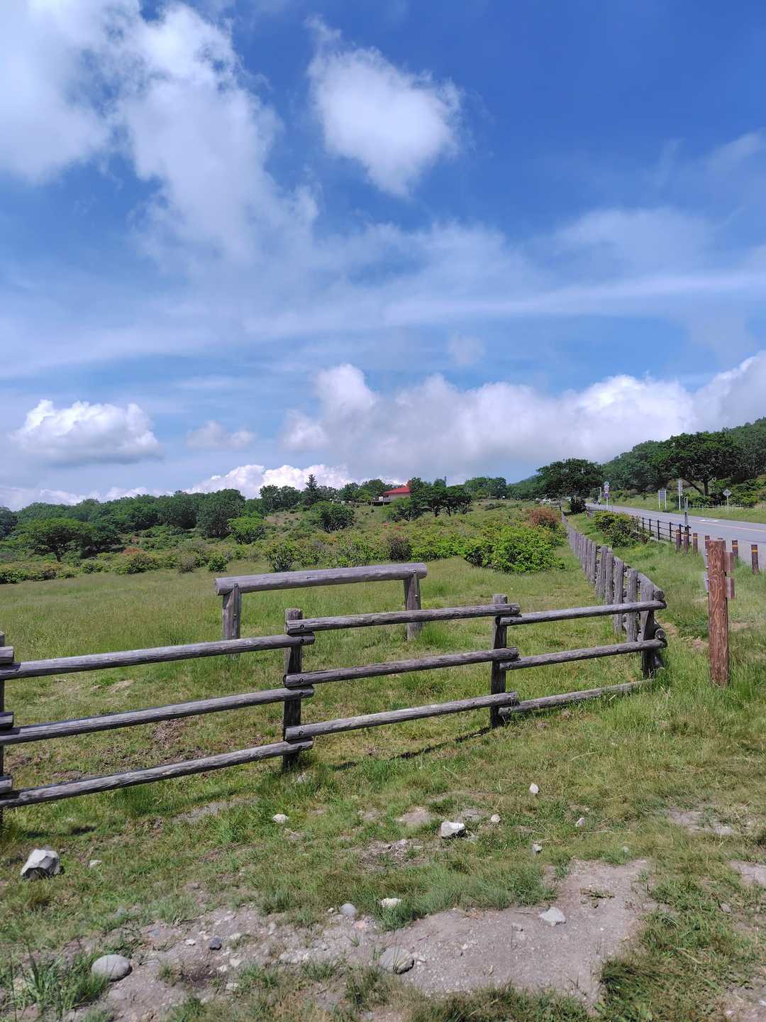 姥子山-鍬柄山-鈴ヶ岳 往復コースの写真