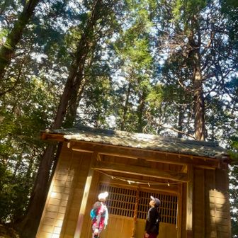 本宮山▲511m

鳥居くぐってから空気がガラッと変わり
すごくひんやりして身体を冷やしてくれる
浄化されてるーって感じ🧊✨

ここで３名のおじ様おば様たちと
しばし山トークwith軽食😋