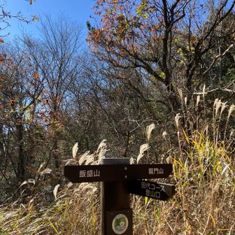 普通の道に出て、ホッとする😅