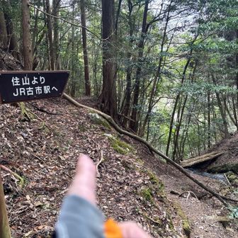 グレーピークを目指して、案内表示より上の側道に進みます