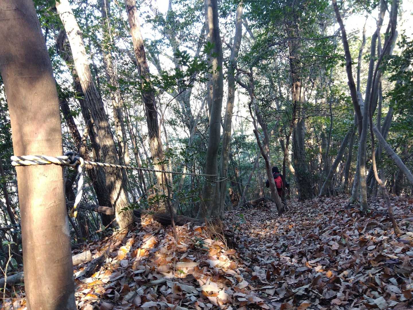 落ち葉🍂地獄👿の激下り