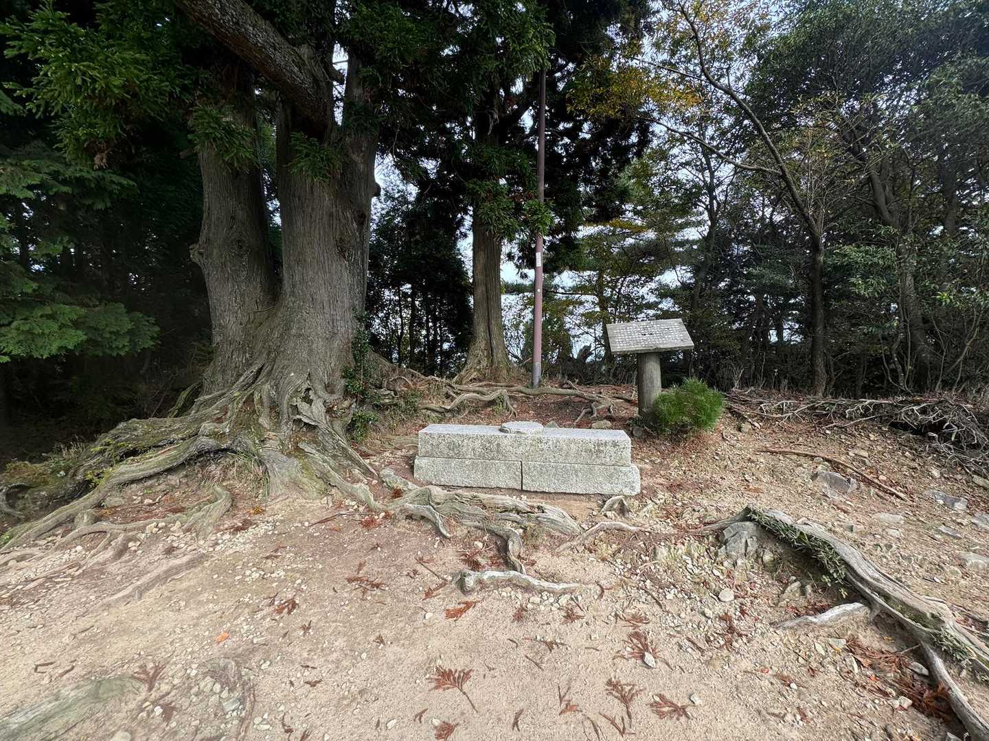 ロープウェイ比叡駅-横高山-水井山-仰木峠-戸寺バス停 縦走コースの写真