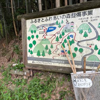 山奥登山口からもう一度りゅうおうさんに上がって、スタート地点に戻りました