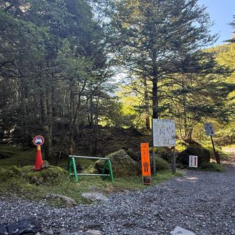ここの右側のバリケードを越える
